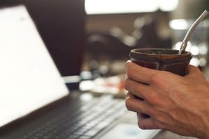 Cómo usarla en el mate y qué precauciones tener en cuenta