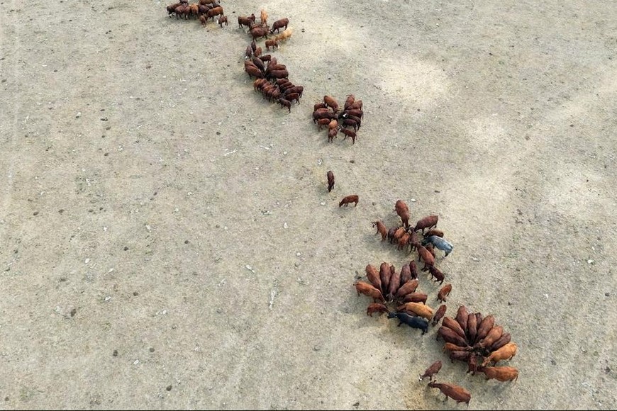 La ineestabilidad de los sistemas hídricos aumenta el riesgo de sequías e inundaciones.