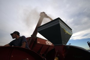 A farmers harvest soybeans in Argentina's town of Estacion Islas  April 3, 2010. Argentina's economy has rebounded dramatically since its virtual collapse nearly a decade ago but many investors fear it is still locked in a boom-bust cycle and could easily unravel again. Economists and business leaders warn Argentine President Cristina Fernandez de Kirchner's moves to increase state intervention have sowed uncertainty in two critical areas: agriculture and the oil and gas industry. Picture taken April 3, 2010.   To match feature FRONTIERS/ARGENTINA   REUTERS/Enrique Marcarian (ARGENTINA - Tags: POLITICS AGRICULTURE BUSINESS ENERGY) argentina  cosechadora soja  buena cosecha economia buena produccion temores inversores productores rechanzan intervencion estado nacional