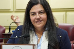 Castellani advirtió que las medidas “no significan un alivio real para los productores”