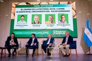 Argentina se posiciona como un exportador destacado de harina de soja en un contexto global donde la oferta es abundante.