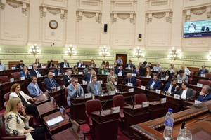 La actividad legislativa pos convención.