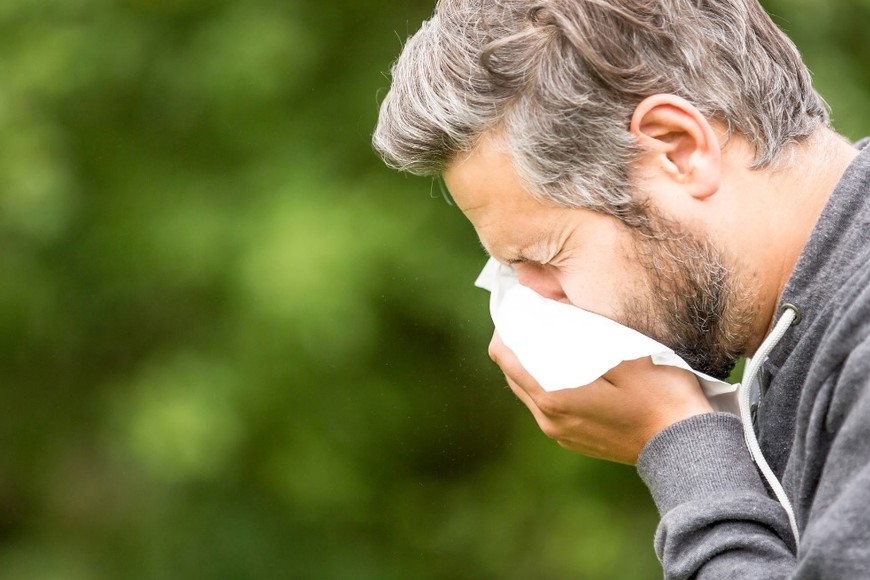 La primavera trae consigo la reactivación de los alérgenos