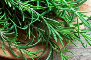 El romero pueden transformarse en aliados para el hogar y la salud.