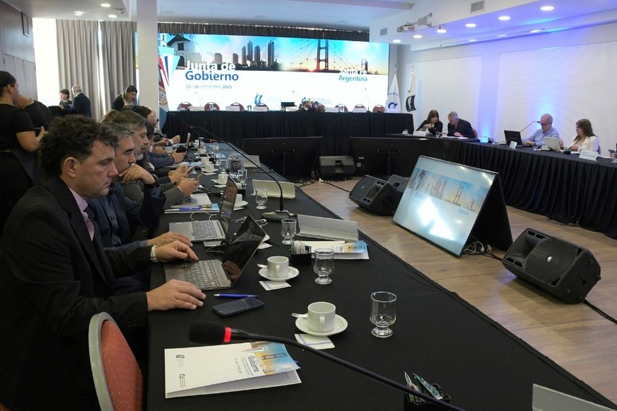 Referentes de consejos profesionales de todo el país se reunieron en Santa Fe. Foto: Guillermo Di Salvatore