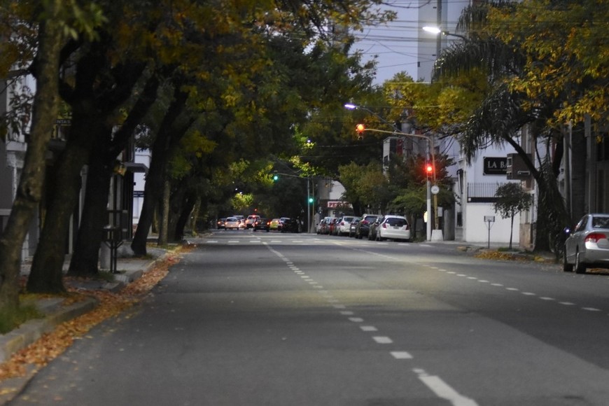 La zona afectada por el corte. Crédito: Manuel Fabatía