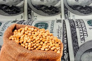 ¿Qué piensan los sectores potencialmente beneficiados? En términos generales, aprueban cualquier nivel de disminución en las alícuotas sobre los Derechos de Exportación -usualmente llamados retenciones-, porque sostienen que es un tributo distorsivo.