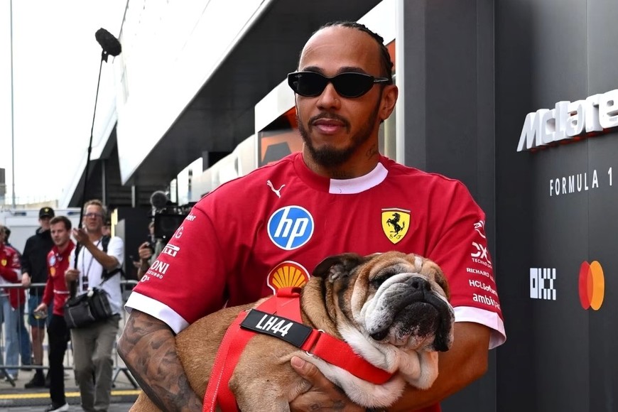 El piloto británico confirmó que el animal murió en sus brazos tras cuatro días en coma.