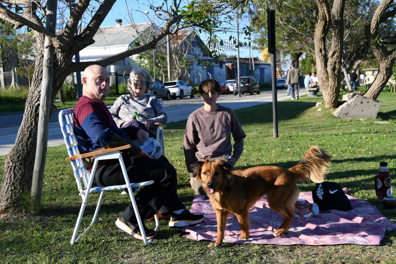 El Paseo del Puerto, la "pausa verde" para descansar un rato de la tediosa rutina