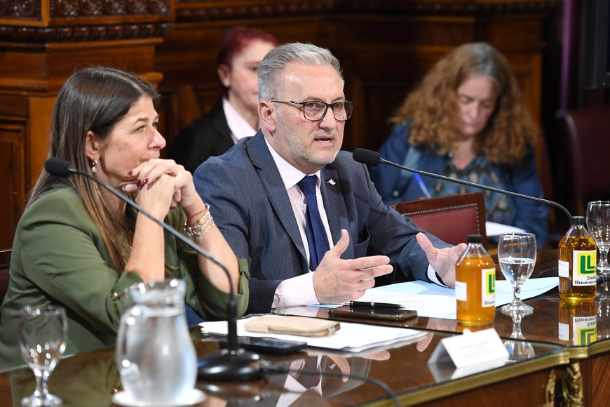 Foto: Comisión de Industria y Comercio