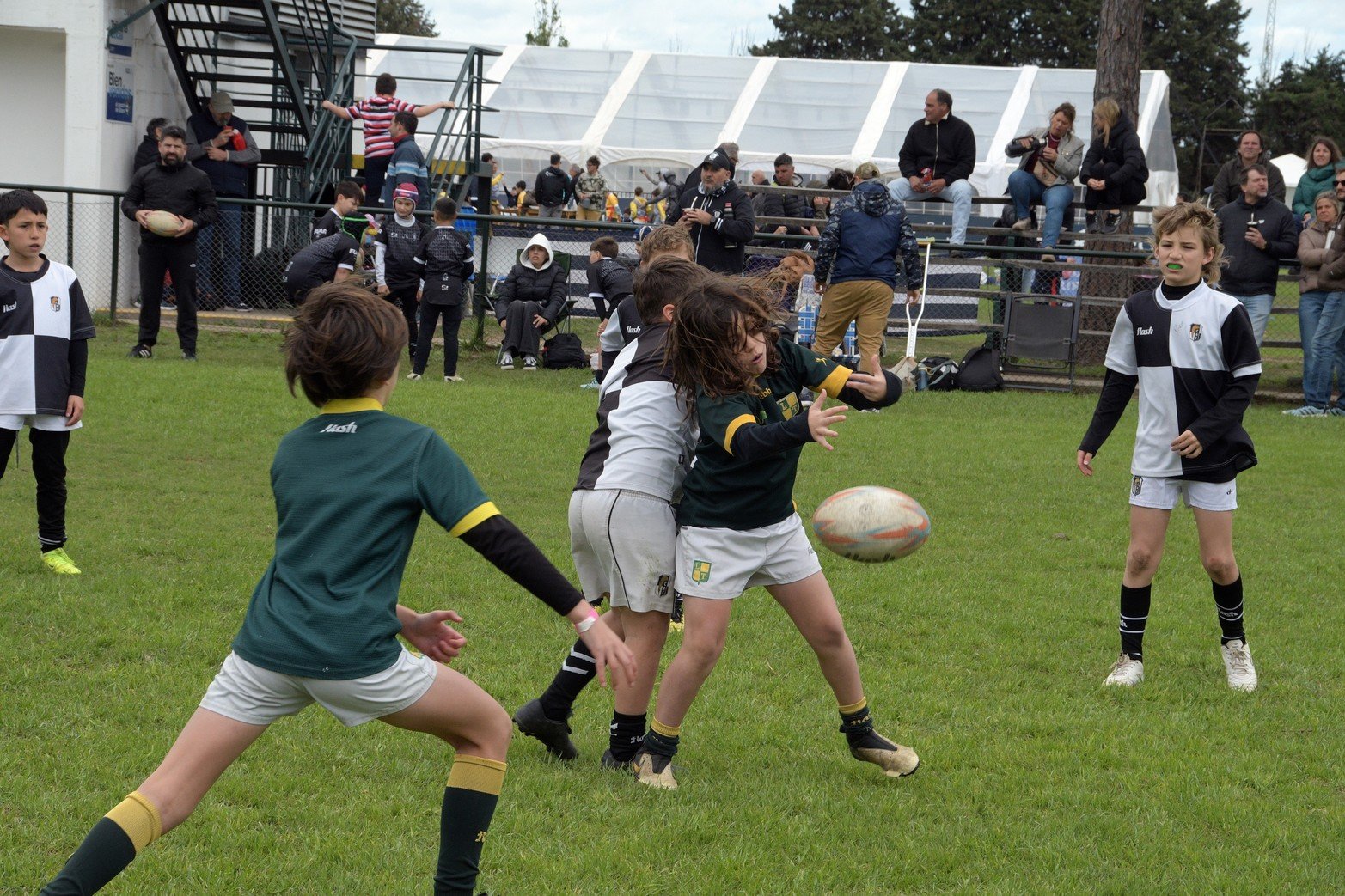 Un sábado de fiesta con la realización de la IV edición del Encuentro Nacional de Rugby Infantil “Julio A. Tejerina”