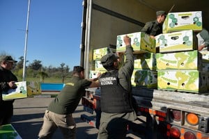 El momento del procedimiento de los gendarmes. Crédito: GNA