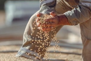 La baja de retenciones tuvo un impacto directo en la recaudación tributaria de noviembre.