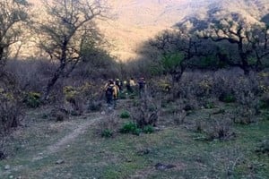 Las autoridades provinciales confirmaron que la acción del hombre fue la causa inicial del siniestro