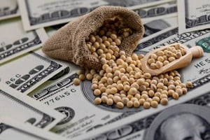 Las liquidaciones de setiembre superaron los U$S 7 mil millones.