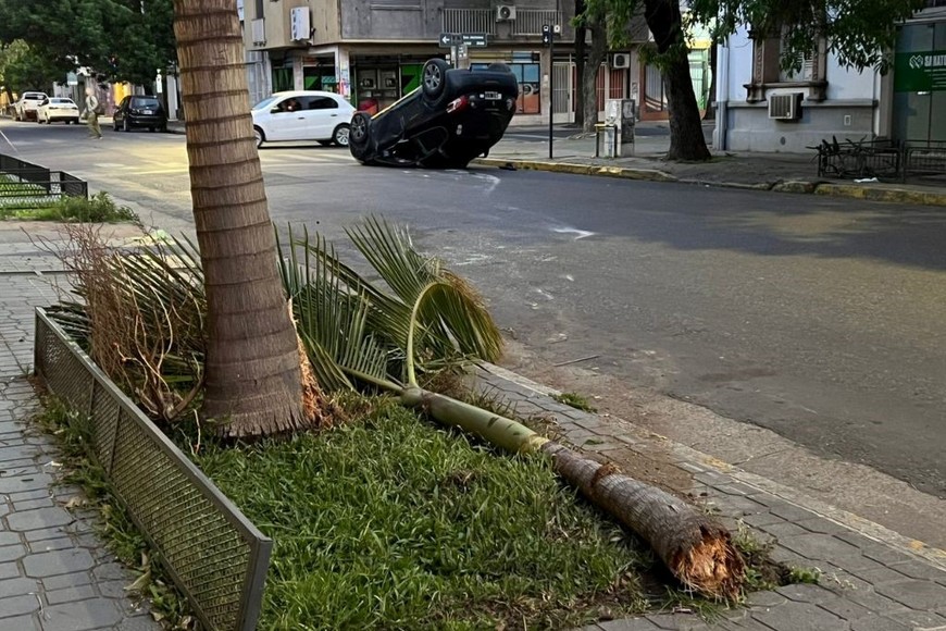 vuelco obispo gelabert 2600