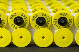 CARAVANA ELECTRONICA