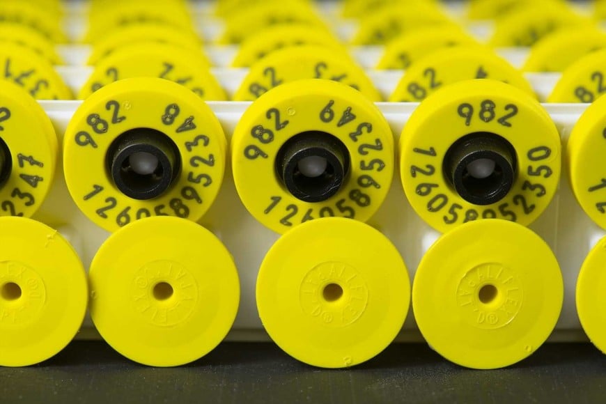 CARAVANA ELECTRONICA