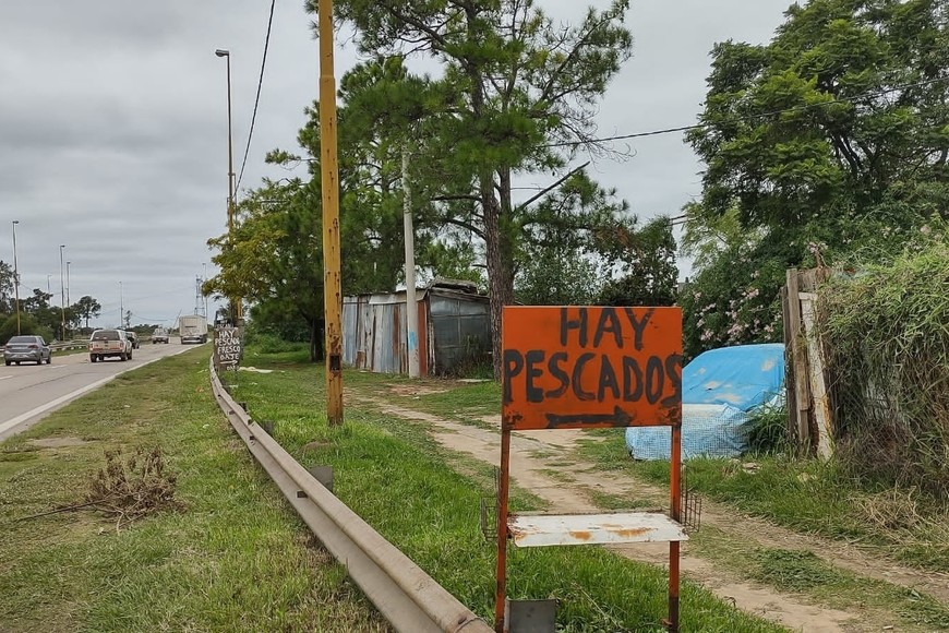 Los sábalos se ofrecen en Santa Fe en puestos ubicados a la orilla del río, por ejemplo, en la banquina de la Circunvalación Oeste.

Archivo.