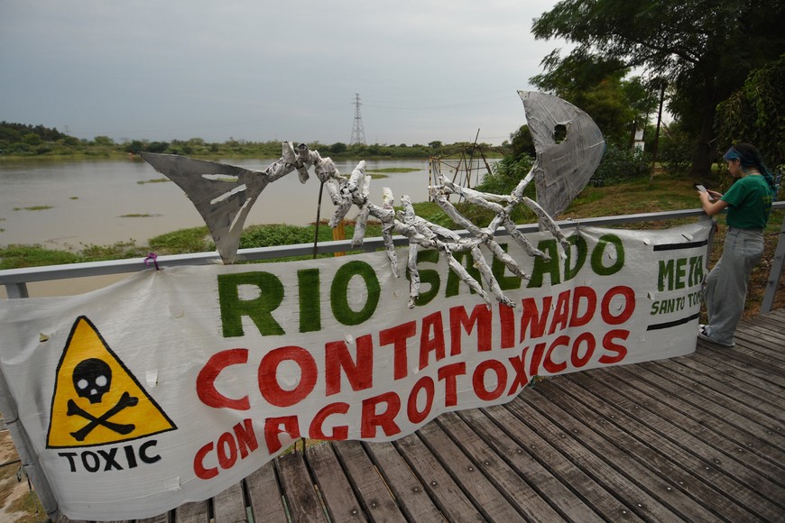 Los sábalos se ofrecen en Santa Fe en puestos ubicados a la orilla del río, por ejemplo, en la banquina de la Circunvalación Oeste.

Archivo.