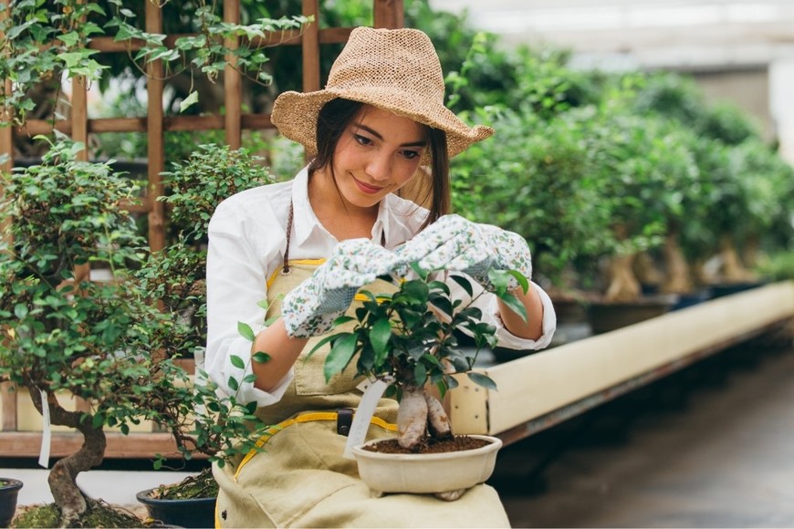 Alternativa natural para un jardín más sano.