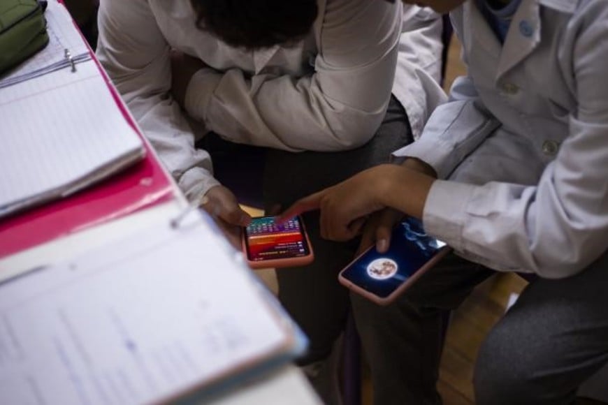 regulacion celulares