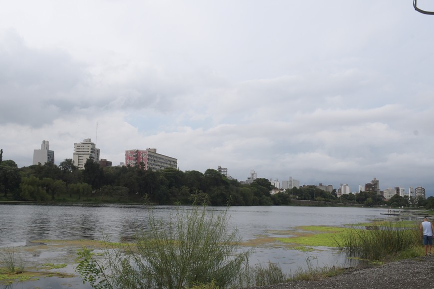 Imagen ilustrativa. Crédito: Manuel Fabatía