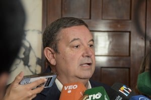 "Puede pasar que ocurra lo mismo que con la ley de discapacidad o directamente que no la cumpla. Siempre vamos a entrar en vía judicial", advirtió Mammarella. Foto: Guillermo Di Salvatore