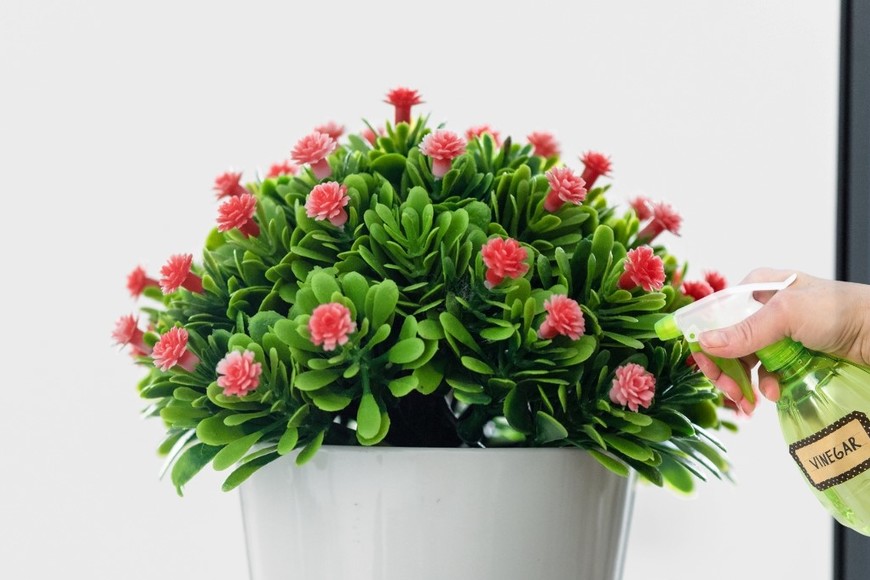 El vinagre aporta brillo a las hojas.