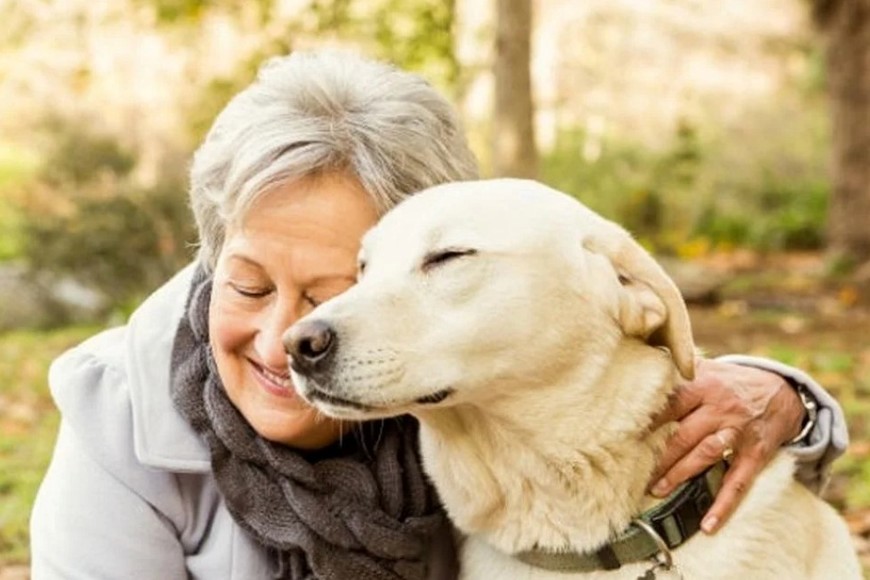 Relación entre la tenencia de mascotas y el deterioro cognitivo