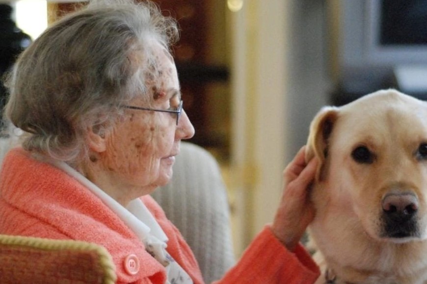 Convivir con un animal de compañía se asocia con una tasa más lenta de declive en la memoria