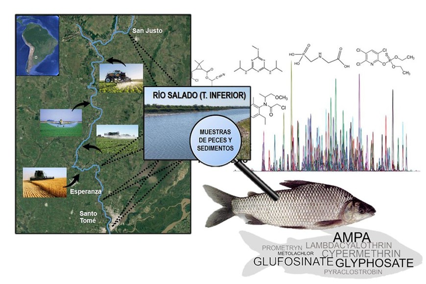 Los sábalos se ofrecen en Santa Fe en puestos ubicados a la orilla del río, por ejemplo, en la banquina de la Circunvalación Oeste.

Archivo.