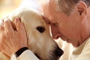 La presencia de una mascota puede “compensar” los efectos negativos del aislamiento social