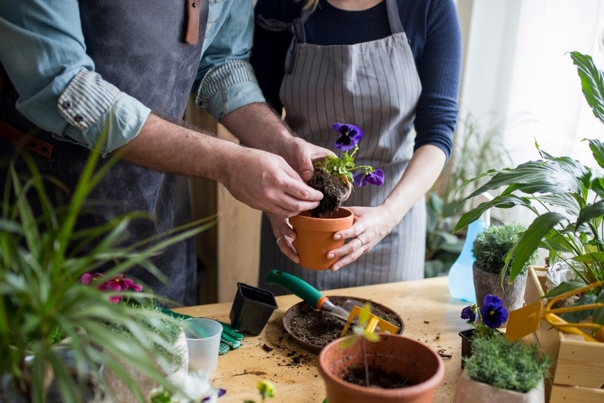 Un aliado económico para la jardinería.