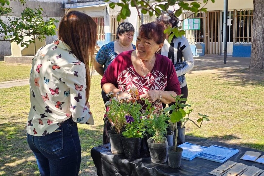 Todo el material será trasladado a una planta recicladora de la localidad de Totoras, que convertirá el plástico en objetos útiles, como palas y baldes. El cartón se reciclará como papel, el vidrio irá a una embotelladora y el metal se destinará a fundición.
