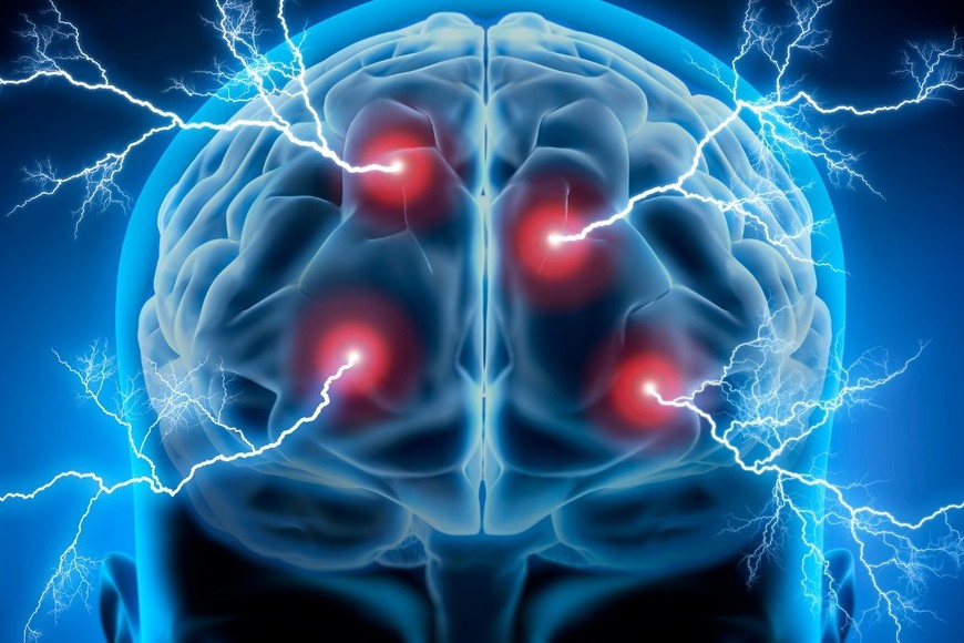 Comprender este mecanismo abre puertas en el tratamiento de patologías neurológicas.