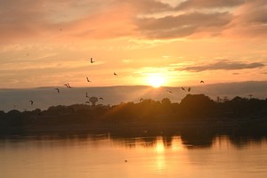 La semana comienza con clima primaveral. Crédito: Flavio Raina