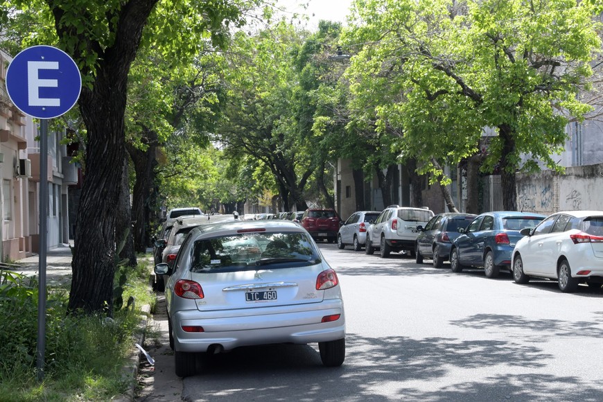 Guillermo Di Salvatore.