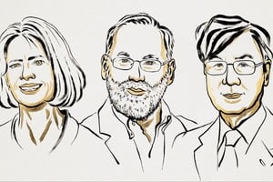 Mary E. Brunkow, Fred Ramsdell y Shimon Sakaguchi. Crédito: Nobel