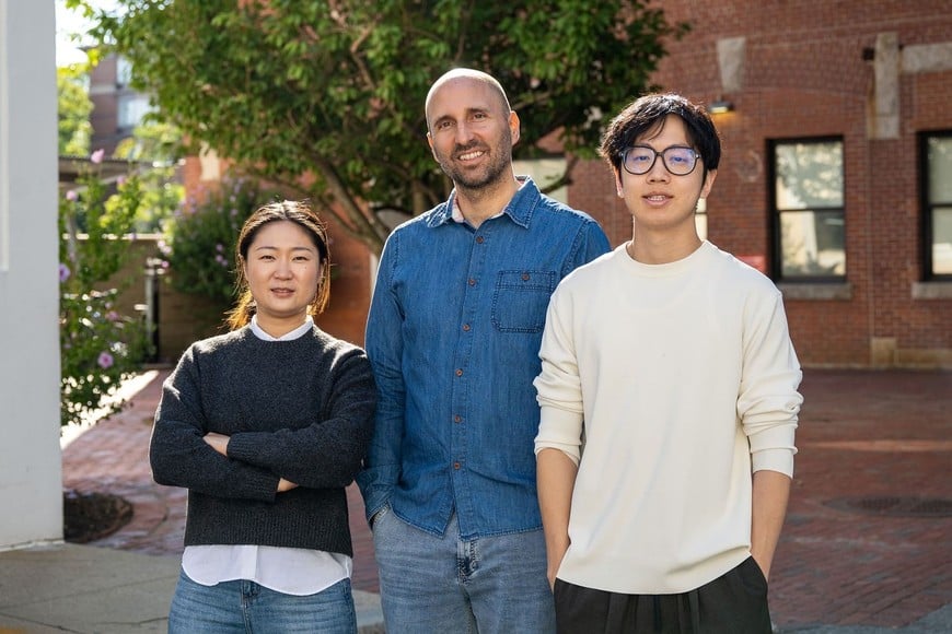 Los hallazgos podrían tener aplicaciones clínicas, ayudar a las personas a recuperar recuerdos frágiles o retener conceptos educativos.