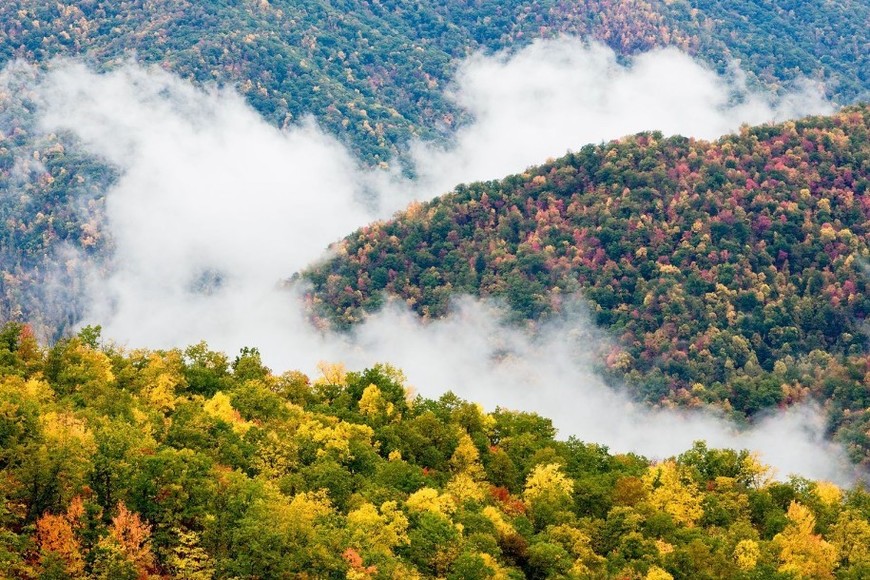 Las Grandes Montañas Humeantes, en Estados Unidos.