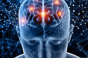 Los resultados del estudio afirman que la memoria "no es solo un dispositivo de grabación pasivo".