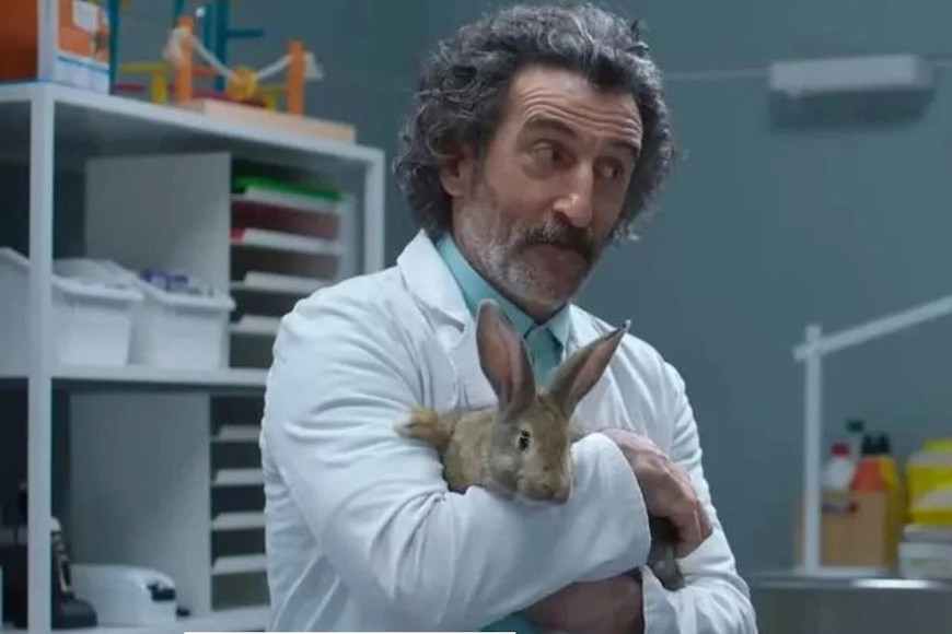 Cada episodio dura entre 25 y 30 minutos, ideal para maratones de fin de semana.