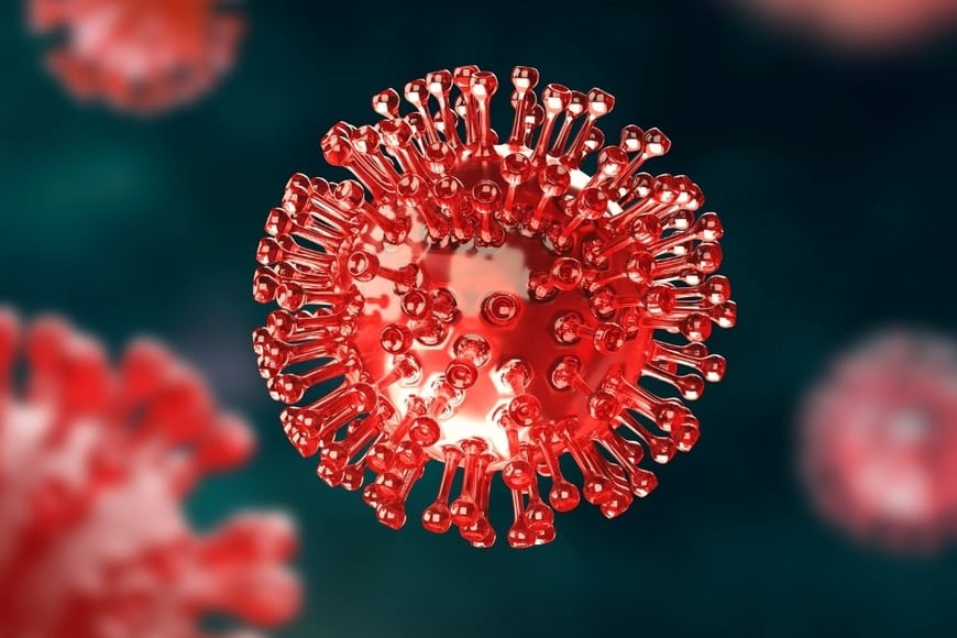 Cepa apodada “Frankenstein” por su combinación genética de diferentes linajes virales