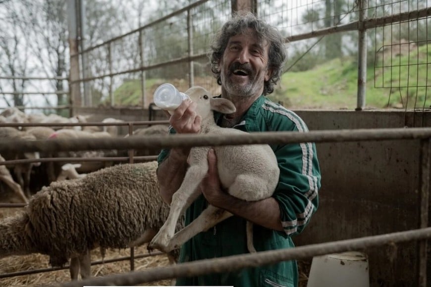 Netflix suma Animal a su catálogo junto a clásicos y estrenos internacionales.