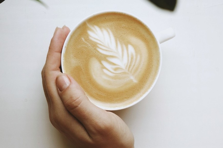 Eel café puede mejorar el rendimiento cognitivo