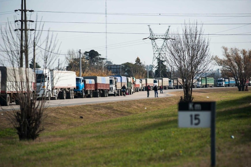 Larga fila de camiones en tiempo de cosecha. Una postal que se repite todos los años. Foto: Marcelo Manera.