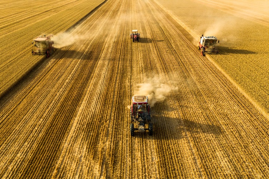 (250606) -- BEIJING, 6 junio, 2025 (Xinhua) -- Imagen tomada con un dron el 4 de junio de 2025 de cosechadores segando trigo en los campos, en la aldea de Pantang del poblado de Lizhuang, en la ciudad de Shangqiu, en la provincia de Henan, en el centro de China. (Xinhua/Li Heng) (jg) (da) (ce)