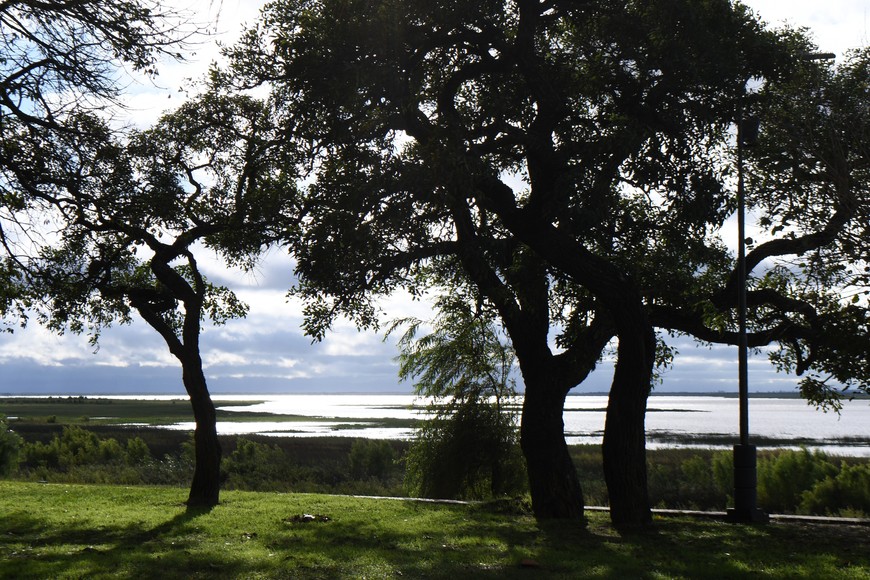 Imagen ilustrativa. Crédito:  Guillermo Di Salvatore