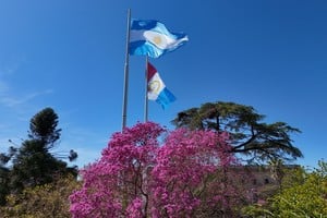 Imagen ilustrativa. Crédito: Fernando Nicola